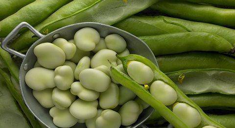 �Q����Ҫ�߮a(ch��n)��(y��ng)ԓ���ʩ�ʣ��Q����������c(di��n)��ʲô��