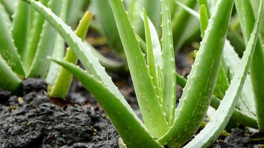 �J�C��ԓ��ʲô�r��ʩ�ʣ���ԓ��ôʩ��