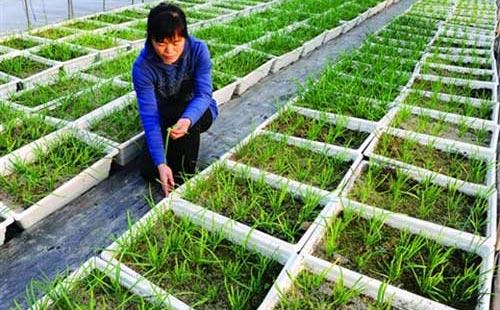 �o�����߲ˑ�ԓ����ʩ�ʣ���Ҫע��ʲô��