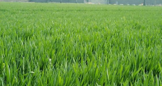 �\�ʑ�ԓ������_ʹ�ã���Ҫע��ʲô��