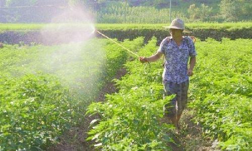 �ͺϷ��c������Ă����^����ɶ�����m�Ͼ���ጷ���