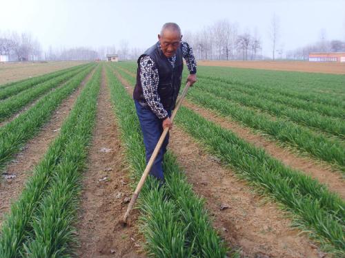 ����С���l�S��ɶԭ��ԓ�����a�ȣ�