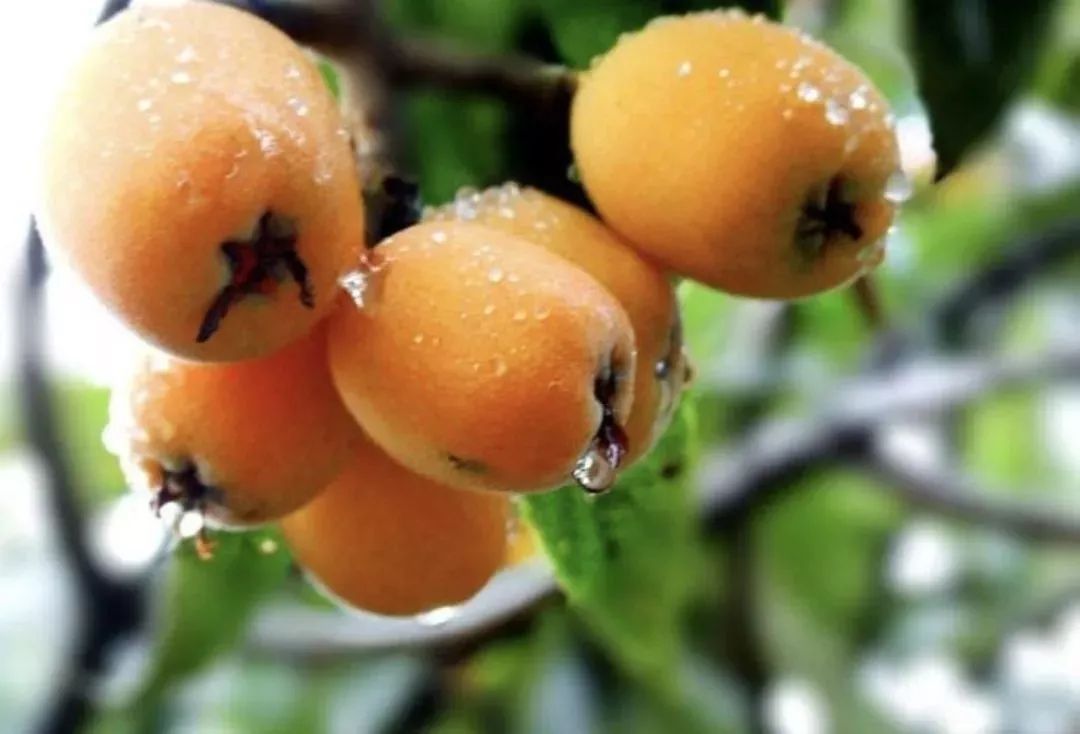 �Nֲ���ˑ�ԓ��ʲô�r��ʩ������ԓ���ʩ�ʣ�