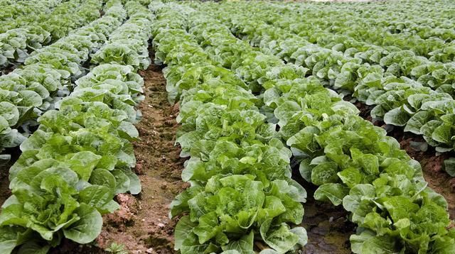 ����������߮a��ʩ�á����ʡ����P�I��