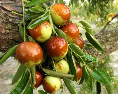 ������ԓʩʲô��������ԓ��ʲô�r��ʩ����