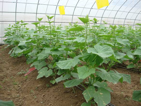 �紺��ʩ���ʑ�(y��ng)ԓע��ʲô��ӛס�@���c(di��n)��