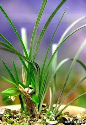 �m���~��ʑ�ԓ���ʩ������Ҫע��ʲô��