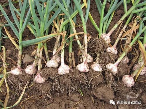 ������Ҫ�߮a��ԓ���ʩ������Ҫע��ʲô��