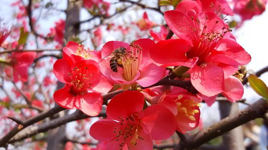 ���đ�ԓ���ʩ����ʩ�ʕr��Ҫע��ʲô��