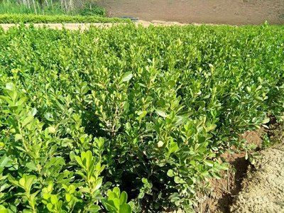 ˮ�ܷʵķ������Щ����ԓ���ʹ�ã�