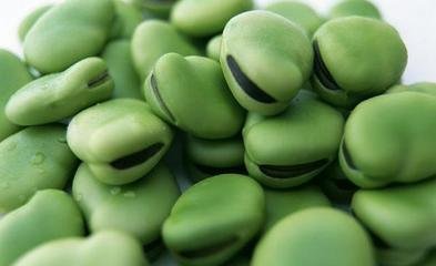 �Q���Nֲ�^���О�ʲô��ȱ⛣�ԭ����ʲô��