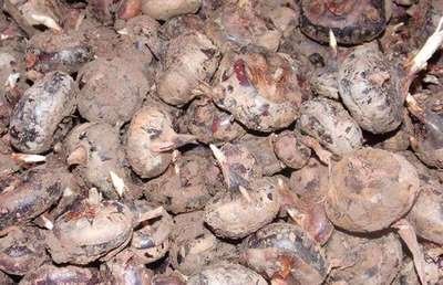 �Nֲݩ�j��ԓ���ʩ����ݩ�jʩ�ʼ��g��