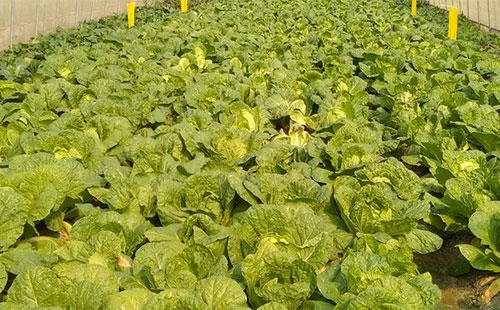 ����@ô�䣬���Ĳ���κ����M��Խ��������