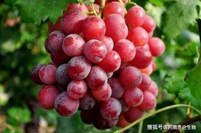 �������ص�������ʲô����ʲô���c��