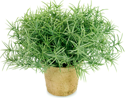 ���B(y��ng)�Ե��㑪(y��ng)ԓ���ʩ�ʣ���Ҫע��ʲô��