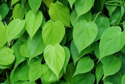 ���~�ّ�(y��ng)ԓ���ʩ�ʣ����~��ʩ�ʼ��g(sh��)��