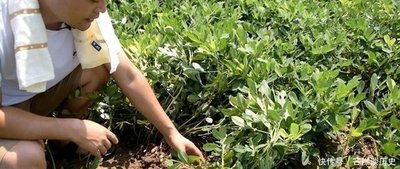 ���Ӳ�����߻����a(ch��n)�����߮a(ch��n)��������������