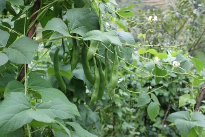 �˶������ʲô�������˶�ԓ���ʩ����