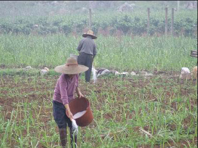 ��ֲ���~��ʑ�ԓ��ʲô�r��ʩ�ã���ôʩ����