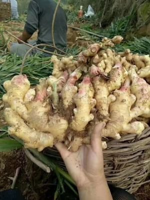 ������������c��ʲô����ԓ���ʩ�ʣ�