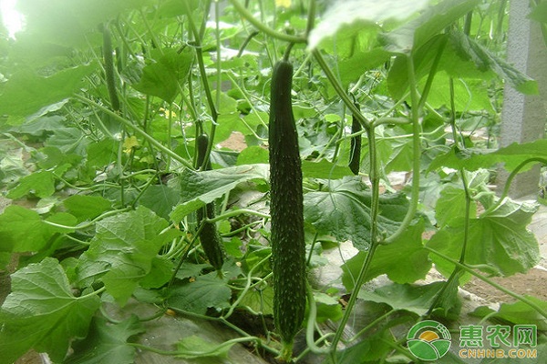 �S�ϻ����ڑ�ԓ���ʩ�ʣ���Ҫע��ʲô��