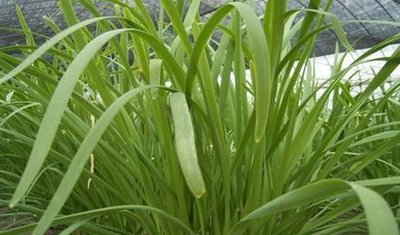 �²˵����Ҏ����ʲô����ԓ���ʩ�ʣ�