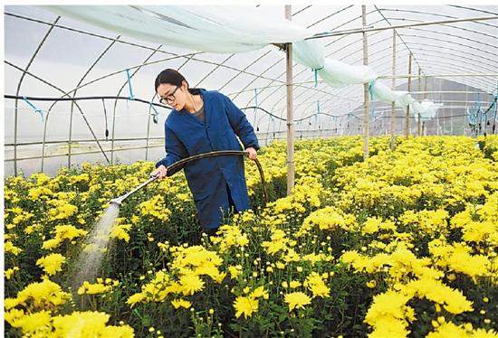 �Nֲ�ջ���ԓʩʲô�ʣ���Ҫע��ʲô��