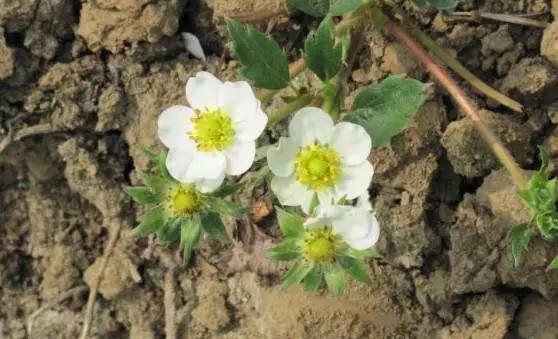 ��ݮ���ڑ�(y��ng)ԓ������ʣ�ӛס�@���c��