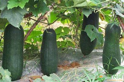 ���ϸ߮a��ԓ���ʩ������Ҫע��ʲô��