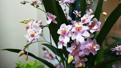 ����ʩ����Ҫע��ʲô��ӛס�@���c(di��n)��