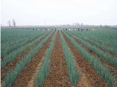 ���[��Ҫ�߮a(ch��n)��(y��ng)ԓ���ʩ�ʣ����[ʩ�ʼ��g(sh��)��