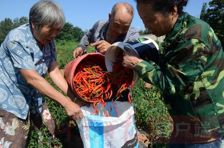 �NֲС������ԓ���ʩ�ʣ���Ҫע��ʲô��