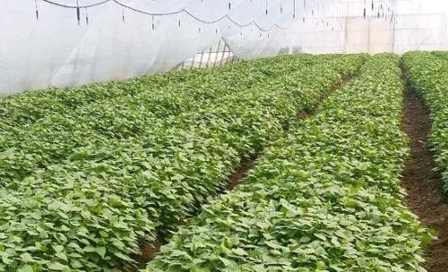 ������������M(j��n)�У�����ЩҪ�c(di��n)Ҫע�⣿