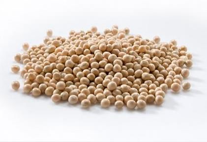 ���㶹Ҫ�������������Щ���gҪ�c��