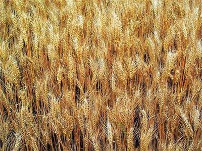 С����ԓ���ʹ���~��ʣ���Ҫע��ʲô��