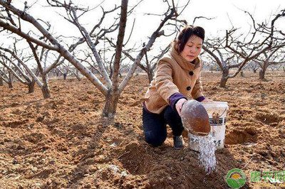 ������⇊ʩ����Щ��(y��u)�c(di��n)������Щ��̎��