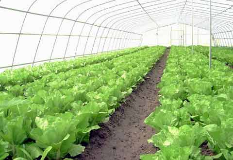 �������Ҫ������Щ����������