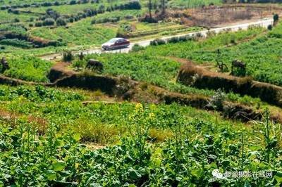 �׷ʌ�ֲ������L��Ҫô��������Щ���ã�