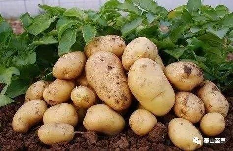 �Nֲ������Ҫע��ʲô����ԓ��ôʩ����