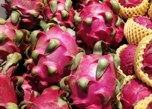 ������������ԓ���ʩ����ʲô�r��ʩ��