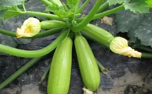 �����J��Ҫ�߮a(ch��n)��(y��ng)ԓ���ʩ�ʣ�ӛס�@���c��