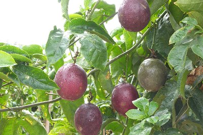 ����������������ʲô����ԓ���ʩ�ʣ�