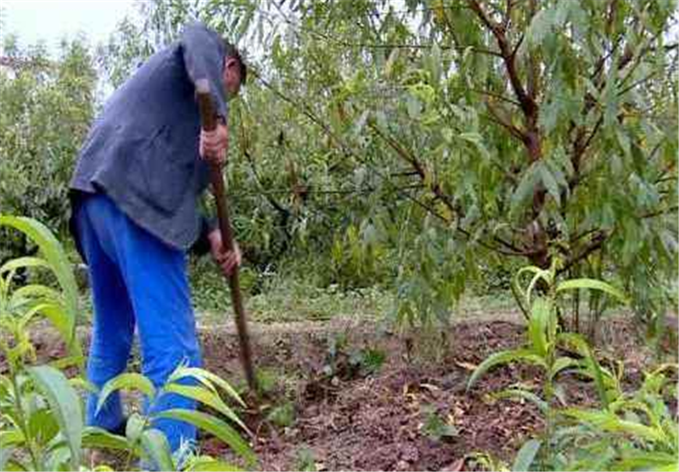 �����o�Ҙ�ʩ������Щ���}����Ҫע��ʲô��