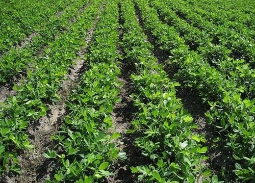 ��������Ҫ�߮a(ch��n)��ԓ���ʩ�ʣ�ӛס�@���c��