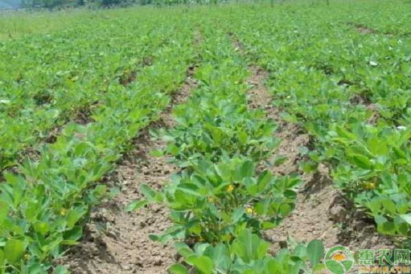 ������ʲô�r(sh��)��ʩ�ʱ��^���m����(y��ng)ԓ���ʩ�ʣ�