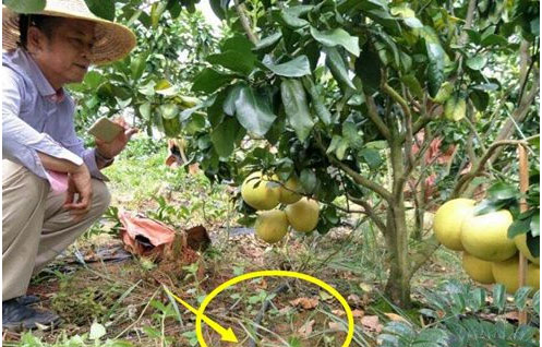 �Nֲ���ӑ�ԓ��ʲô�r��ʩ�ʣ����ʩ�ʣ�