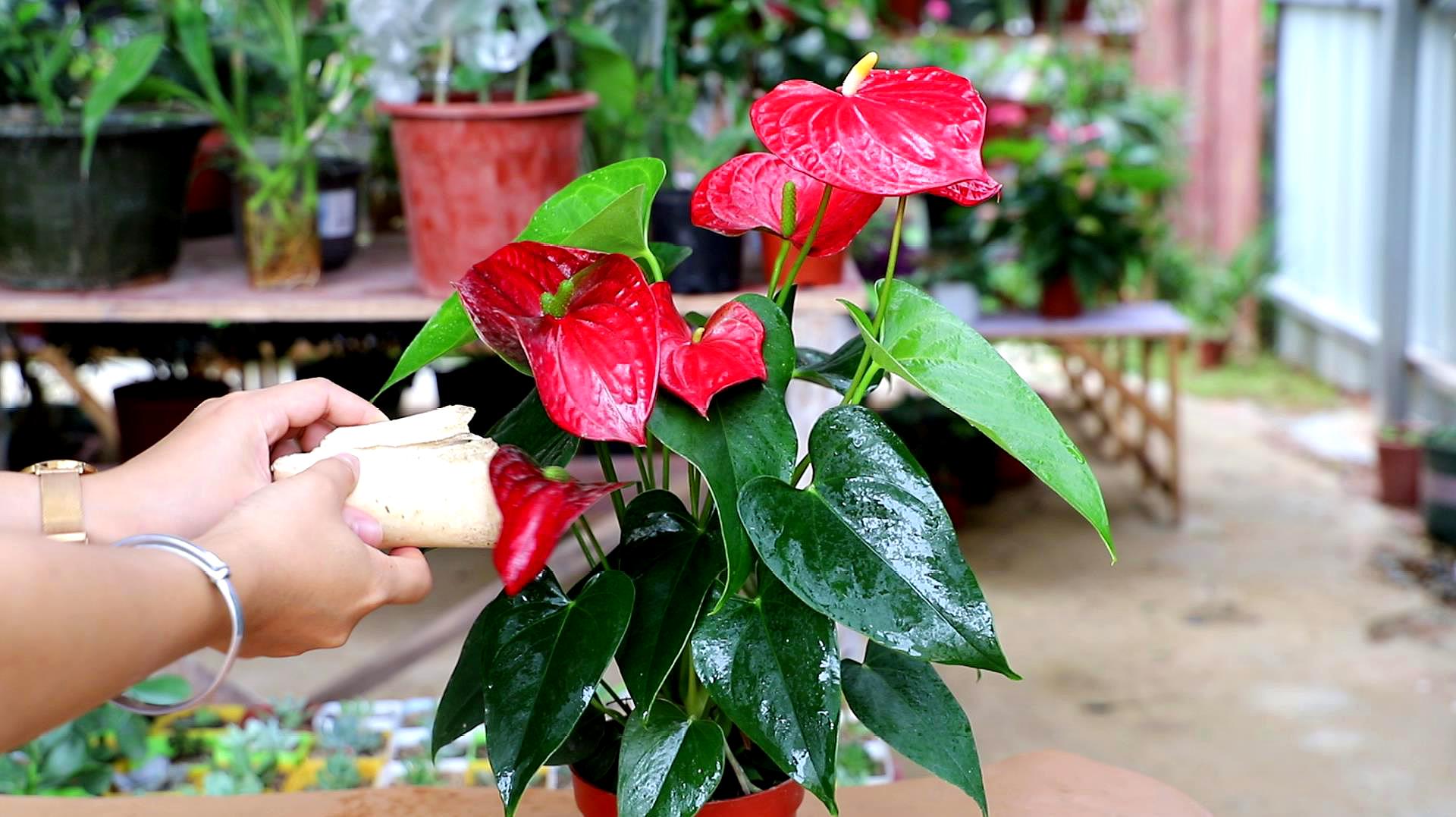 �t�Ƒ�ԓ��ʲô�r��ʩ�ʣ���ôʩ�ʣ�