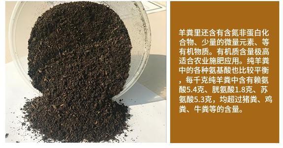 �l���u�S����S�Ă��ã���һ����ô��