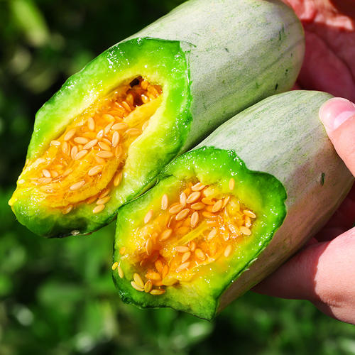 ���������ڎ��·ݷNֲ�����·ݳ��죿