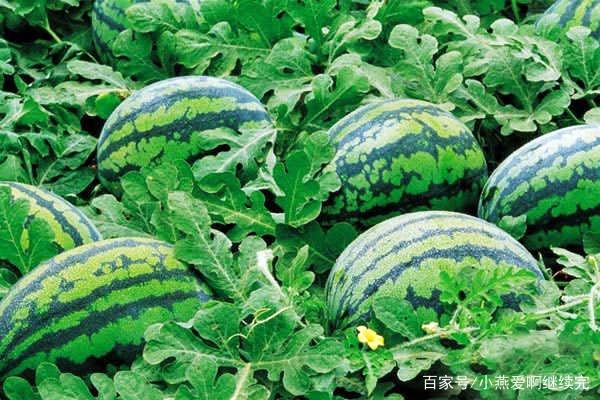 ̼����@�ǵ�������ʲô����ԓ���ʹ�ã�